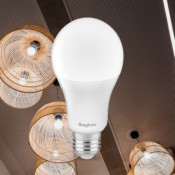 Braytron LED Leuchtmittel 10er Set, 13W E27, 1350lm, 4000K Neutralweiß oder 6500K Tageslicht, ersetzt 90W Glühbirne/Glühlampe, A60 Birnenform, 180° Abstrahlwinkel, energiesparend (6500K Kaltweiß) – Ansicht 2