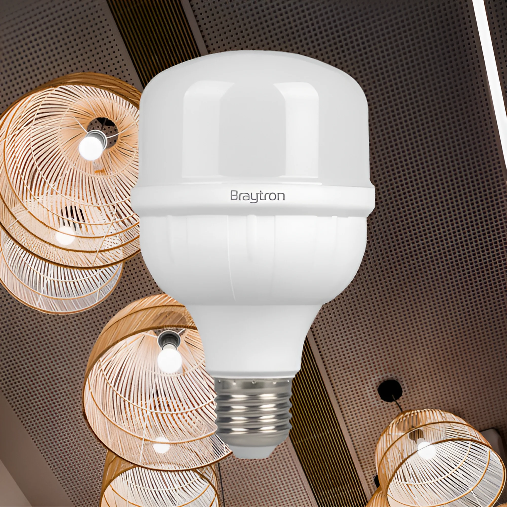 BRY-ADVANCE-40W-E27-T115-6500K-LED BULB – Ansicht 2