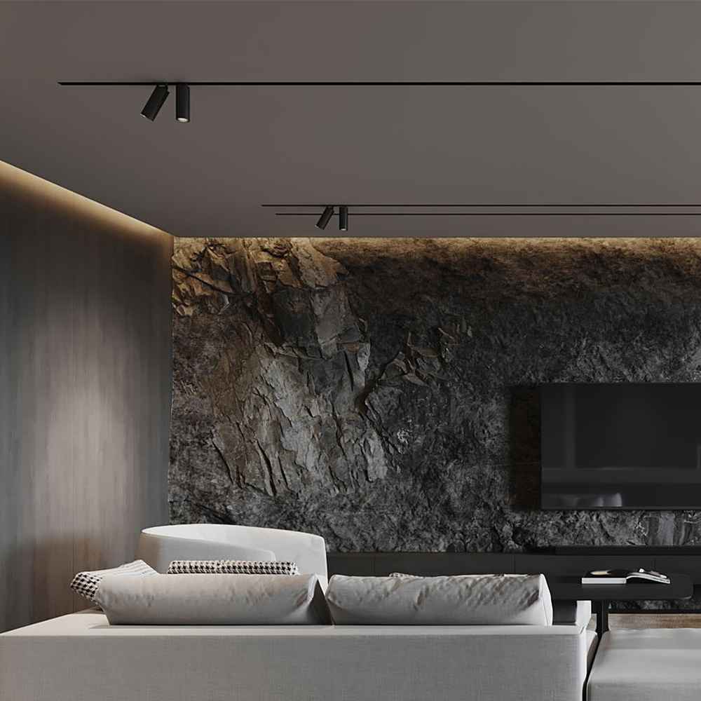 Braytron 48V LED Magnet-Schienenstrahler 6W / 10W / 18W – 3CCT 3000K-6000K, CRI≥90, 24° Abstrahlwinkel, drehbar & schwenkbar, Aluminium Schwarz, Magnetic Track Light für 48V DC (10W) – Ansicht 2